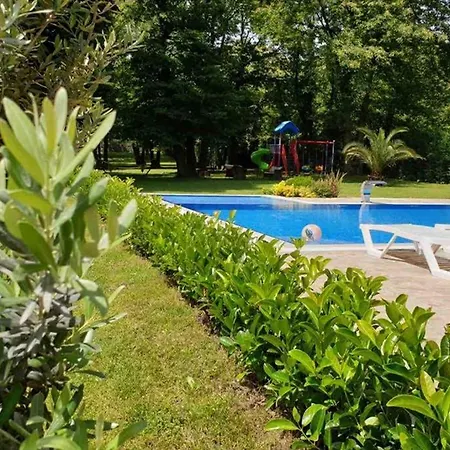 Konak * Sapanca
