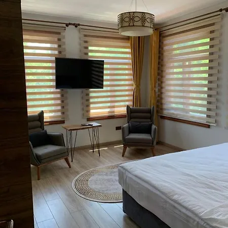 Villa Konak Sapanca